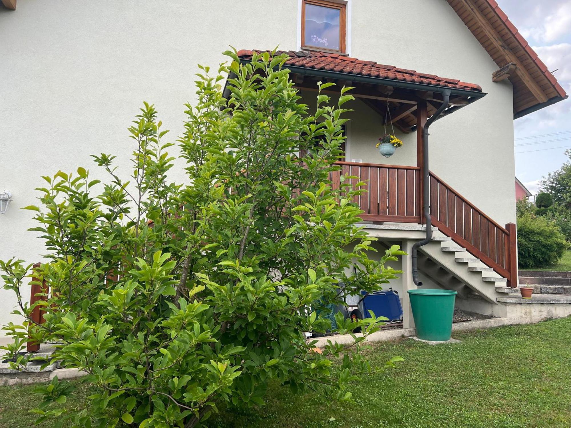 Ferienwohnung Doerfler Hollfeld ภายนอก รูปภาพ